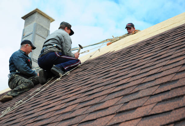 Best Storm Damage Roof Repair  in Highland Park, TX